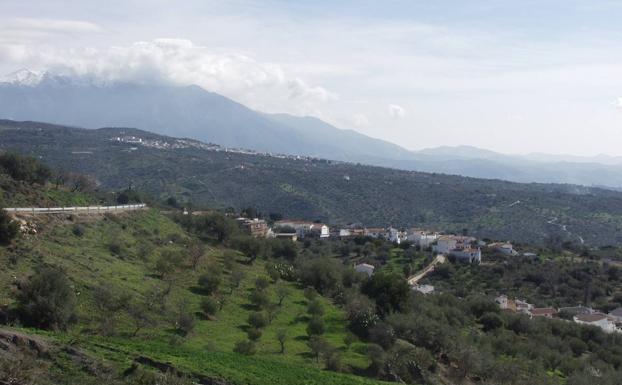 Imagen principal - Olivar de Riogordo. Olivar de Riogordo. La aldea de Mondrón y, al fondo, Periana. Museo Etnográfico de Riogordo.