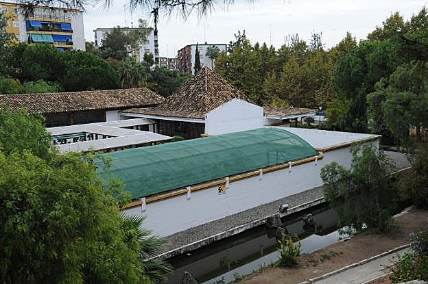 La biblioteca ocupará el espacio del antiguo Museo del Bonsái.