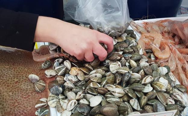 A partir de enero las chirlas del litoral de Málaga volverán a los mercados. 