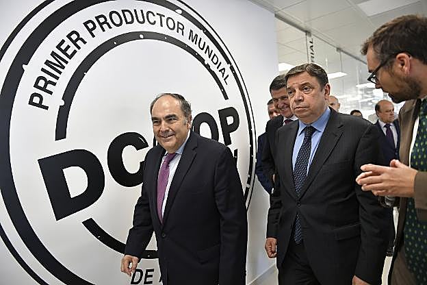 Antonio Luque, presidente de Dcoop.