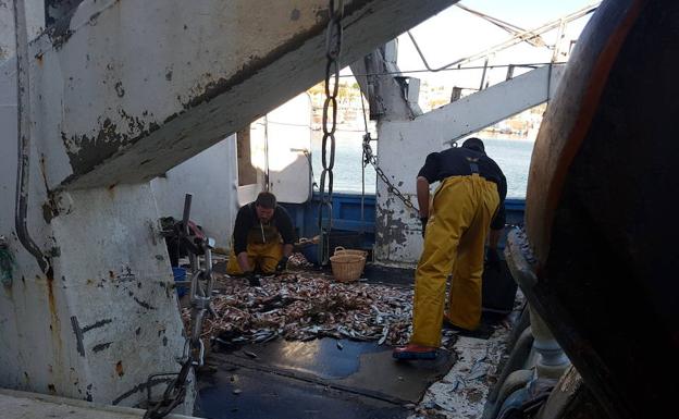 Pescadores seleccionando a bordo las capturas realizadas. 