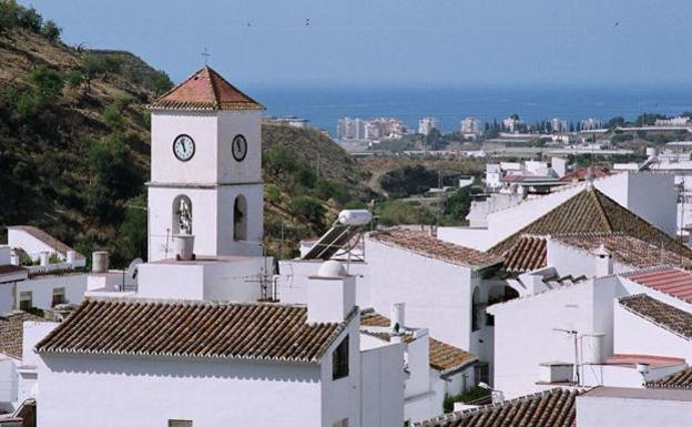 Vista de archivo de Algarrobo. 