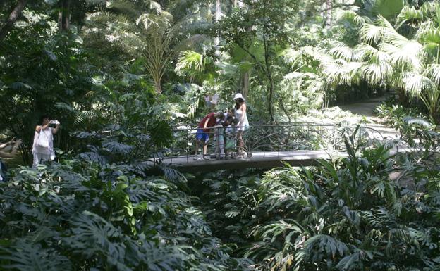 El Jardín Botánico-Histórico de La Concepción celebra una nueva visita nocturna y una jornada familiar este fin de semana