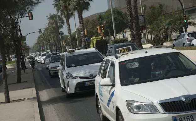 Taxistas de Málaga no descartan llevar a cabo nuevas movilizaciones. 