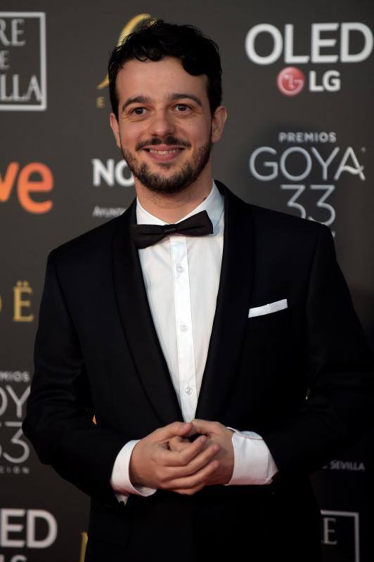 Las mejores imágenes de la alfombra roja y ceremonia de los premios de la Academia española de Cine en Sevilla. La 33ª edición de los premios Goya al cine español.