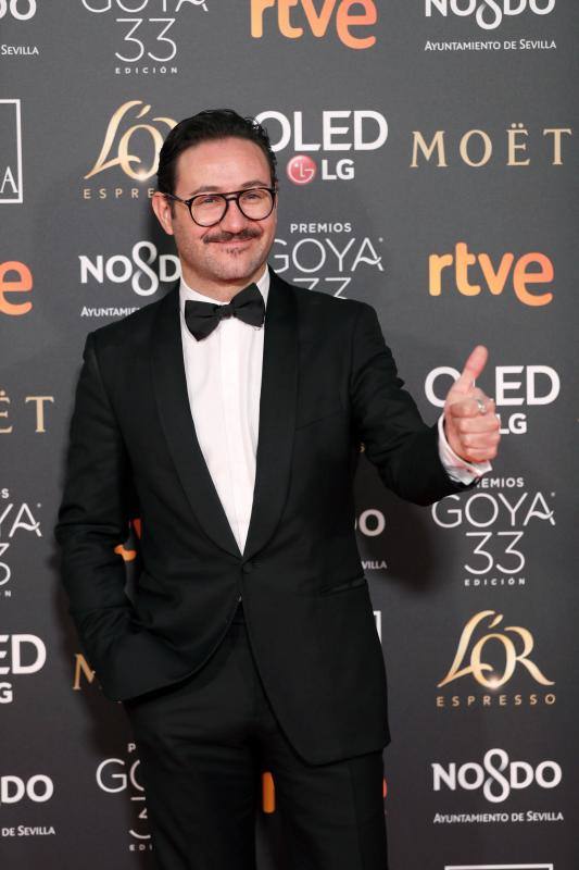 Las mejores imágenes de la alfombra roja y ceremonia de los premios de la Academia española de Cine en Sevilla. La 33ª edición de los premios Goya al cine español.