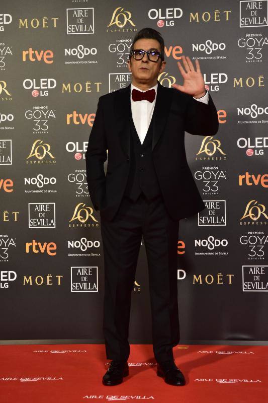 Las mejores imágenes de la alfombra roja y ceremonia de los premios de la Academia española de Cine en Sevilla. La 33ª edición de los premios Goya al cine español.