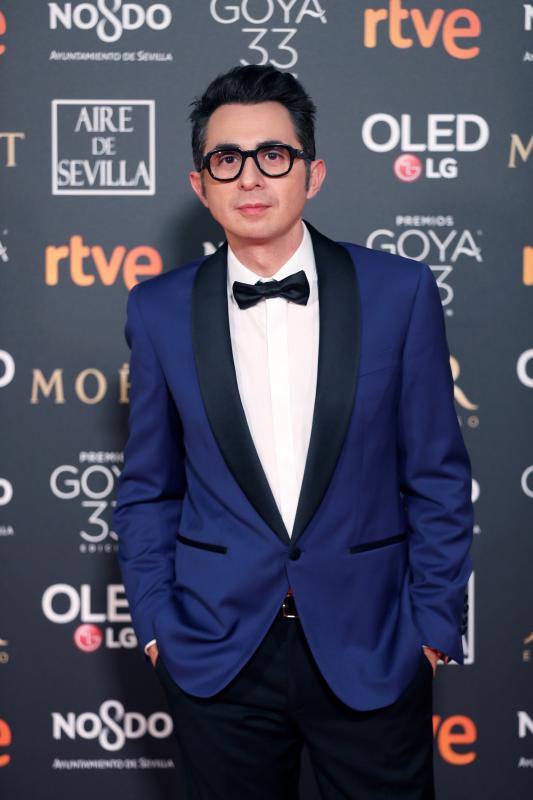 Las mejores imágenes de la alfombra roja y ceremonia de los premios de la Academia española de Cine en Sevilla. La 33ª edición de los premios Goya al cine español.