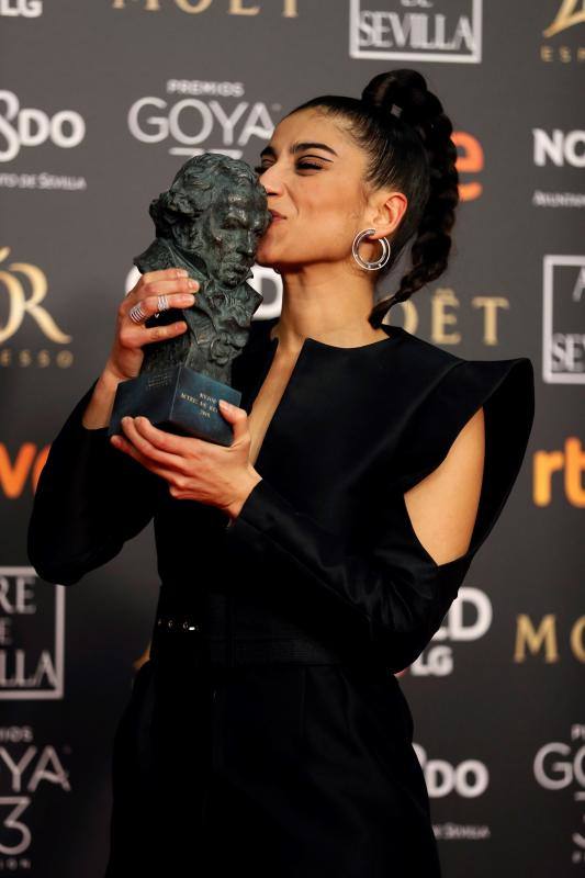 Las mejores imágenes de la alfombra roja y ceremonia de los premios de la Academia española de Cine en Sevilla. La 33ª edición de los premios Goya al cine español.