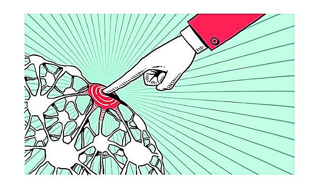 La neurociencia y el futuro