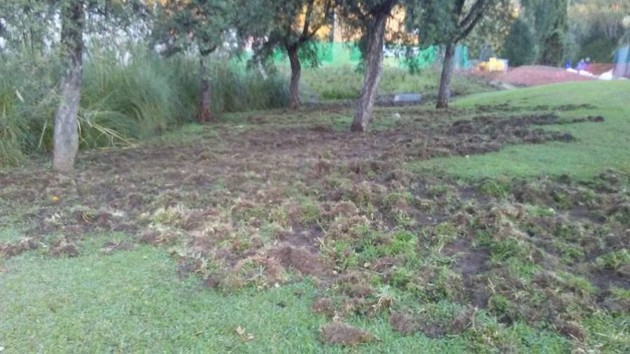 Imagen de los daños provocados hace unos días en uno de los parques afectados.