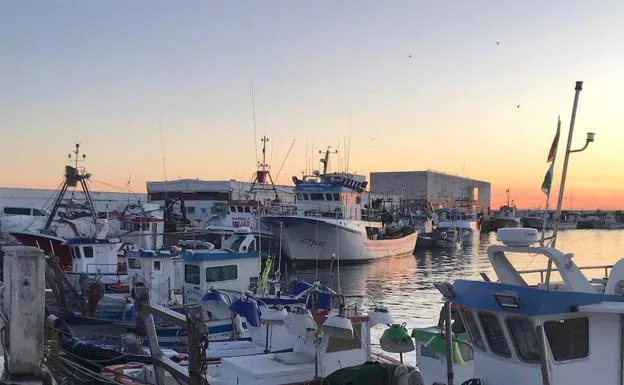 Embarcaciones de cerco, ayer amarradas en el puerto pesquero de Caleta de Vélez por el paro. 