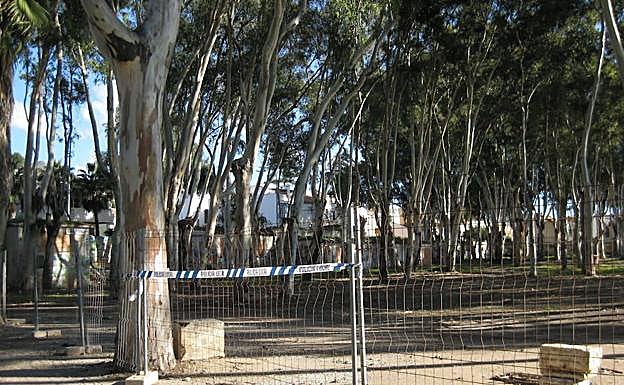 Vallas para impedir el paso de vehículos a la parte del bosque de eucaliptos. 