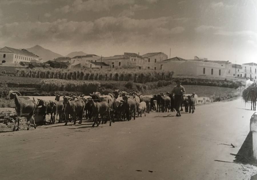 La editorial valenciana Onada Ediciones publica un libro en el que se recopilan más de medio centenar de fotos realizadas en un viaje a la localidad axárquica entre enero y abril de 1959