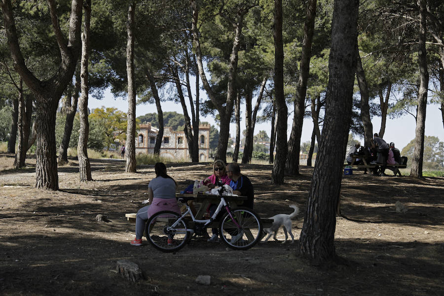 El bosque de pinos es la zona de esparcimiento más aprovechada por las familias pasa pasar el día de campo. 