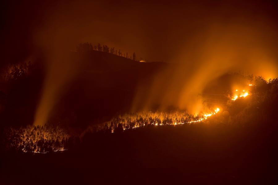 El norte de España se ha visto asolado este fin de semana con más de un centenar de incendios que han afectado duramente a Asturias, Cantabria y Vizcaya. Algunos de ellos ya están controlado, pero, en el Principado, 99 de ellos aún continuan en activos; mientras que en Cantabria el número de incendios activos se ha rebajado de 21 a 17, de un total de más de 60 que fueron provocados en la comunidad autónoma.