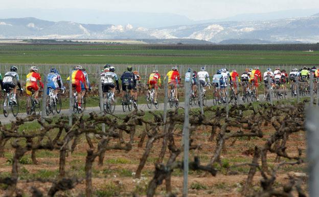 Una imagen del pelotón durante la Vuelta a La Rioja. 