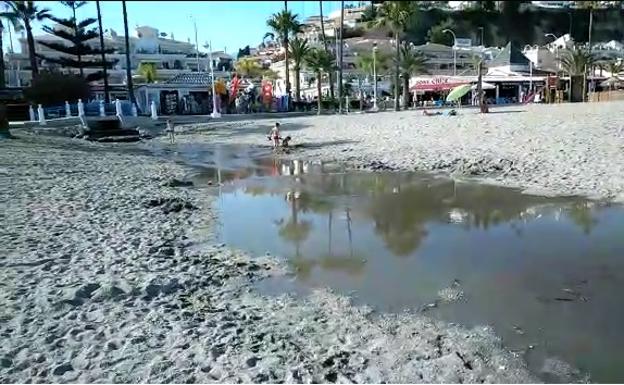 «Es muy triste ver las toallitas pegadas contra las rocas, esperamos una solución»