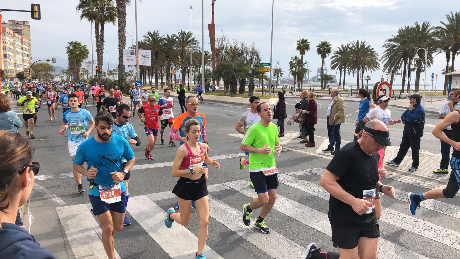 Más de 7.500 corredores participan en la 29ª edición de la Media Maratón Ciudad de Málaga.