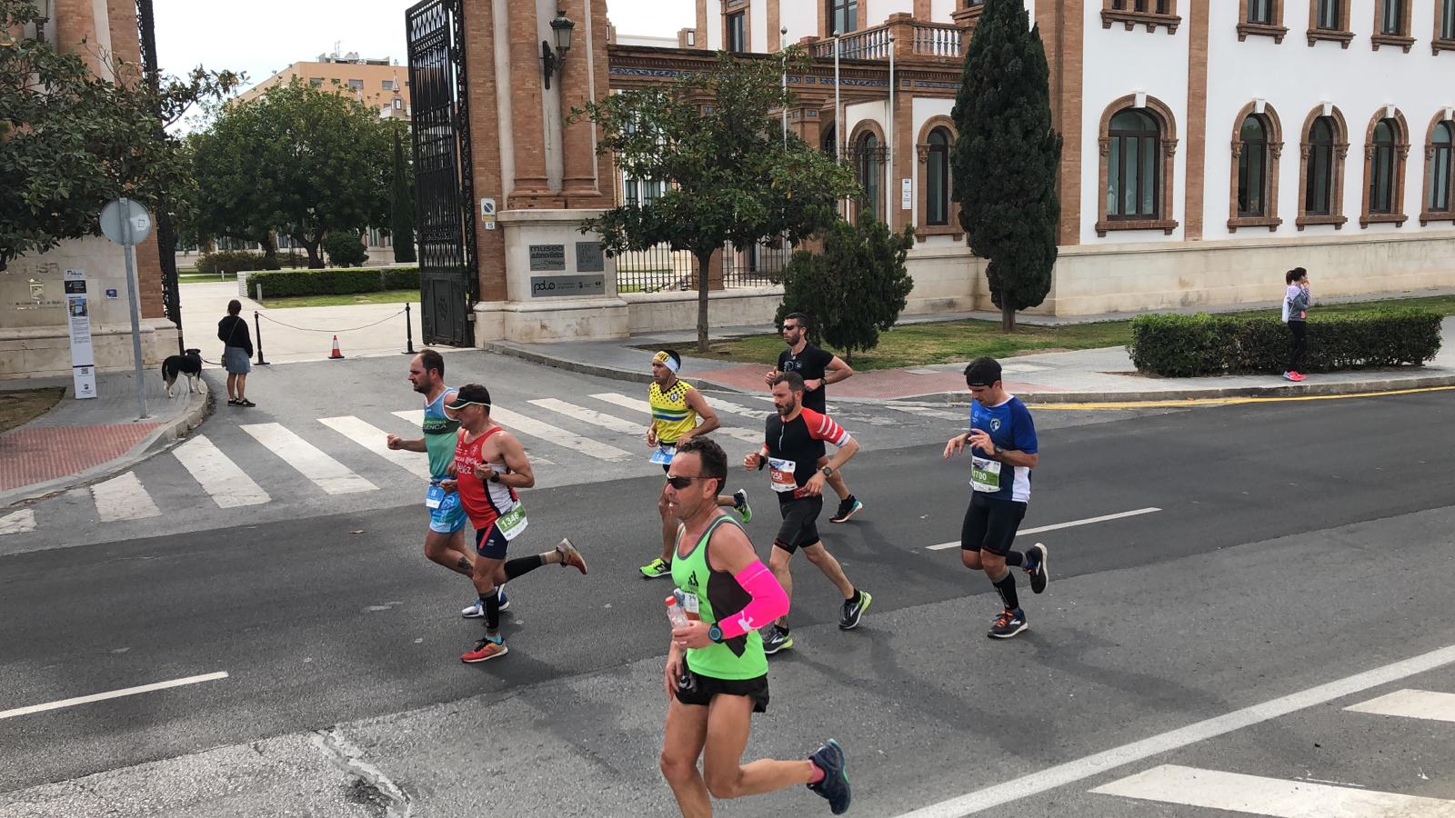 Más de 7.500 corredores participan en la 29ª edición de la Media Maratón Ciudad de Málaga.