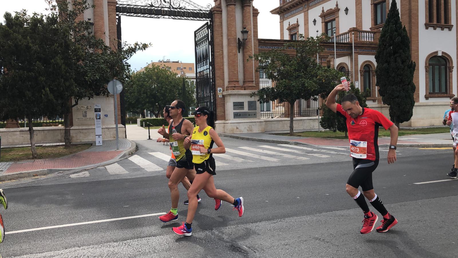 Más de 7.500 corredores participan en la 29ª edición de la Media Maratón Ciudad de Málaga.