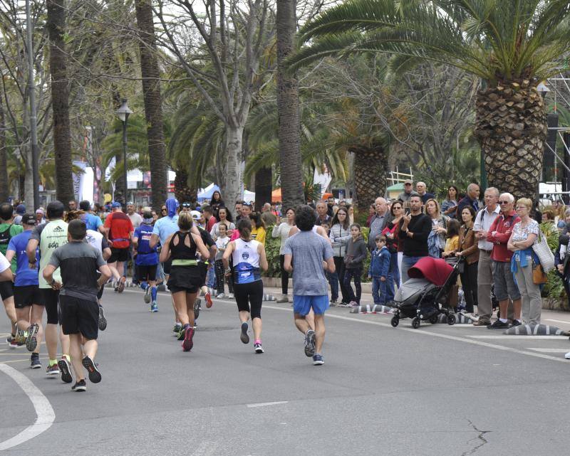 Más de 7.500 corredores participan en la 29ª edición de la Media Maratón Ciudad de Málaga.