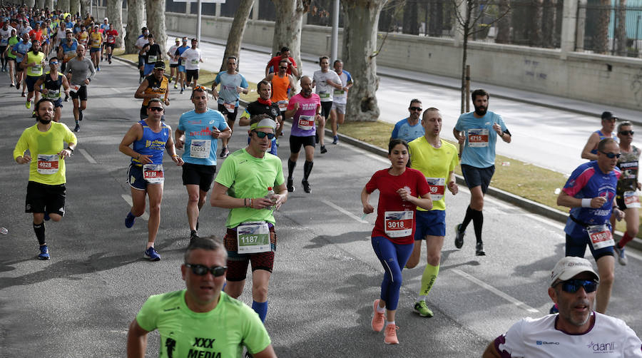 Más de 7.500 corredores participan en la 29ª edición de la Media Maratón Ciudad de Málaga.