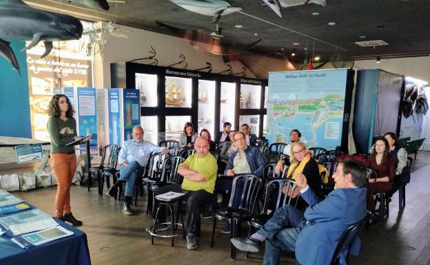 ¿Existe alguna fórmula eficaz para evitar las medusas en las playas de Málaga?