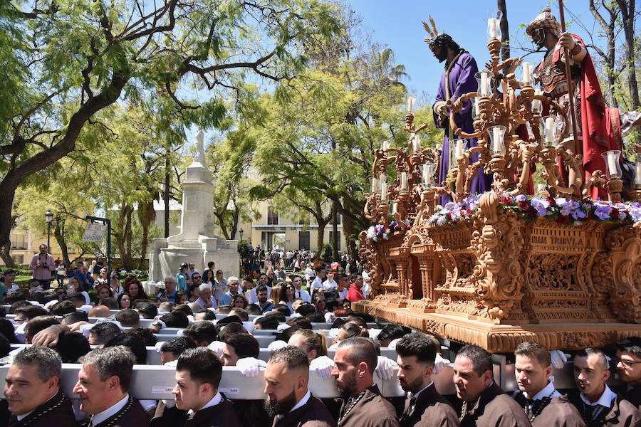 Fotos: El Domingo de Ramos de la Semana Santa de Málaga 2019, en imágenes