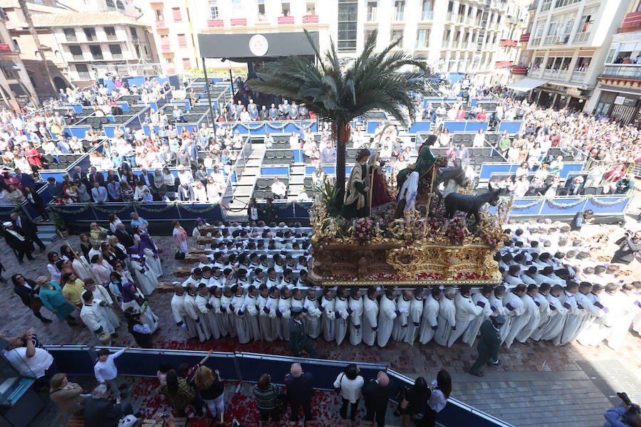 Fotos: El Domingo de Ramos de la Semana Santa de Málaga 2019, en imágenes