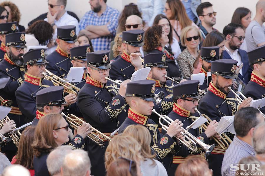 Fotos: El Domingo de Ramos de la Semana Santa de Málaga 2019, en imágenes