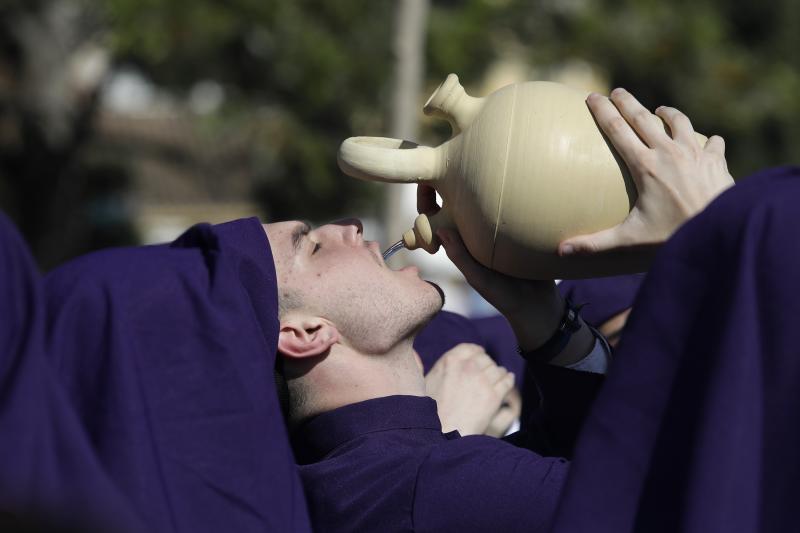 Fotos: El Domingo de Ramos de la Semana Santa de Málaga 2019, en imágenes