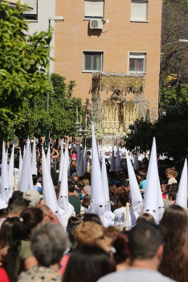 Fotos: El Martes Santo de la Semana Santa de Málaga 2019, en imágenes