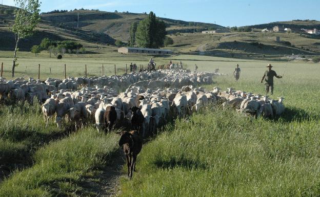 Alumnos del curso de caprino 