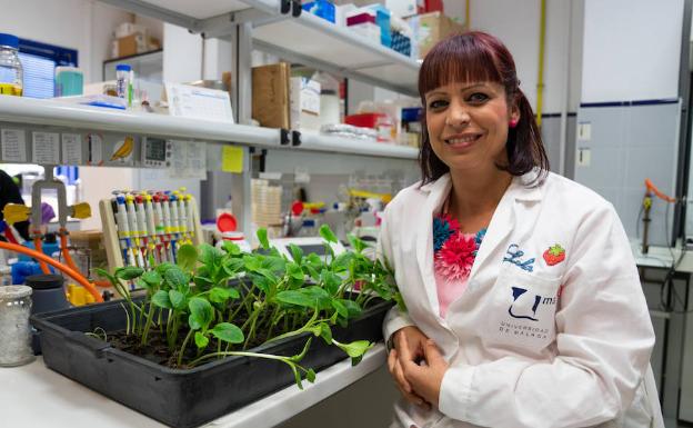 Dolores Fernández, en su laboratorio de la Facultad de Ciencias. 