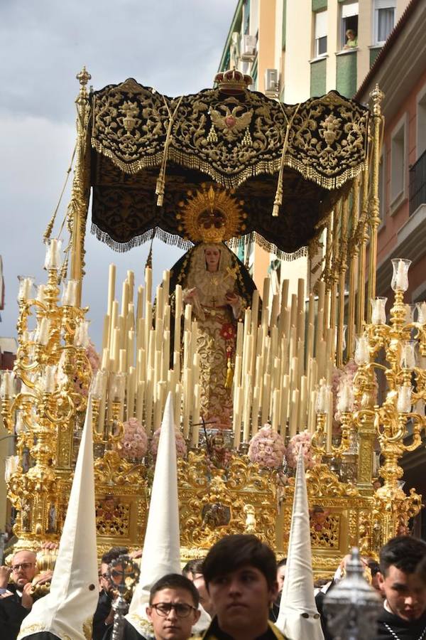 Los cortejos procesionales de Monte Calvario, Descendimiento, Dolores de San Juan, Amor, Traslado, Piedad, Sepulcro y Servitas