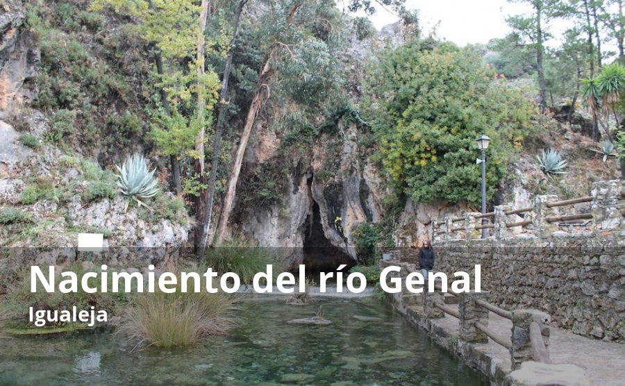 En la entrada del pueblo de Igualeja, se puede ver el que se considera como nacimiento del Genal, ya que este río, en realidad, también se alimenta de diversos arroyos y riachuelos que nacen en otros pueblos de la zona como Júzcar, Cartajima o Faraján. Pero, por su belleza y singularidad, éste es el nacimiento del emblemático río que cruza el valle de mayor belleza de toda la provincia. En este rincón, distinguido como monumento natural, se puede ver cómo el agua mana con fuerza del interior de una gruta formando a su salida una gran poza cristalina y transparente que permite ver con total nitidez el fondo. No es el único lugar de donde sale el agua, ya que hay algunos huecos entre las rocas por donde este bien natural ve por primera vez la luz solar para formar parte del caudal de este río de la Serranía de Ronda.