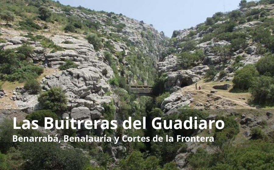 La espectacular orografía del Valle del Guadiaro tiene uno de sus mejores exponentes en la garganta caliza de Las Buitreras, un cañón de impresionantes dimensiones, catalogado como monumento natural de Andalucía. Se trata de un insólito desfiladero, fruto de la erosión del propio río, que atraviesa estas angosturas para encaminar sus aguas hacia la provincia de Cádiz. Esta formación vertical alcanza los cien metros de altitud y apenas cuenta con un metro de anchura en algunos tramos. El conjunto kárstico tiene un gran valor desde el punto de vista geológico, ya que una de sus paredes verticales tiene su origen en la era jurásica, es decir, hace millones de años. Para contemplar estos espectaculares cortantes, hay dos opciones recomendables, ir hasta el denominado 'Puente de los Alemanes' (en realidad es una antigua canalización para el agua) o buscar una perspectiva desde la zona más alta del desfiladero, tomando, en ambos casos, las máximas precauciones posibles.