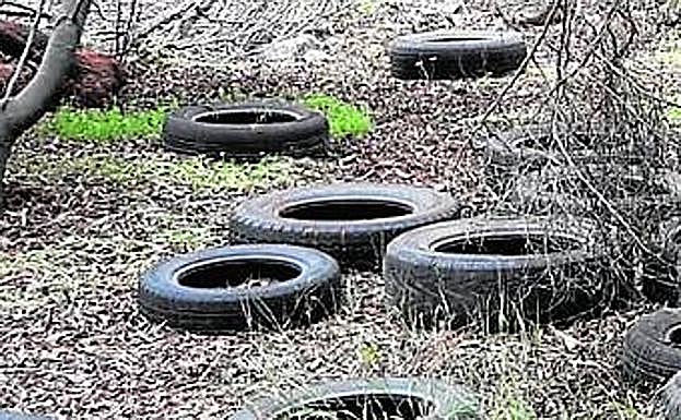 Un bosque de neumáticos junto al Campamento Benítez