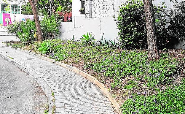 La zona ajardinada fue remodelada recientemente.