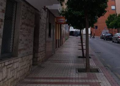 Imagen secundaria 1 - Los vecinos reclaman la mejora del mantenimiento de los jardines. El árbol junto a la vivienda. Reclaman su poda.