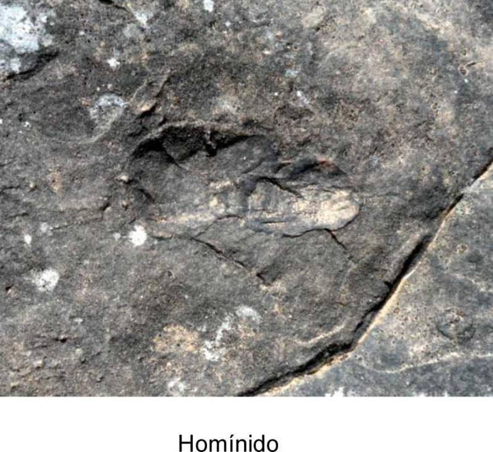 Un equipo internacional de paleontólogos investiga el «prometedor» hallazgo de fósiles de Australopithecus en Alhaja Prieta que podrían tener unos cinco millones de años