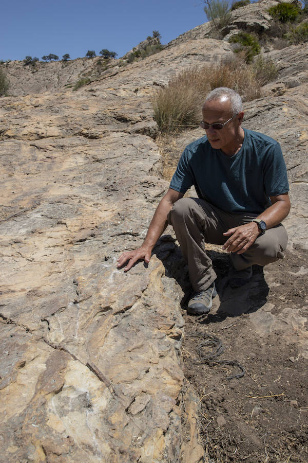 Fotos: Gerard Gierlinski, en su visita a Álora