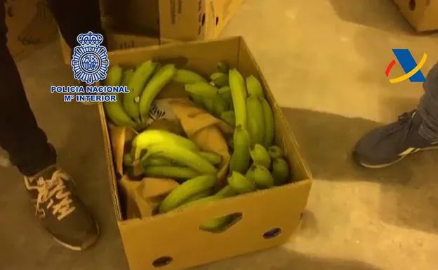 Cae en Estepona un grupo de seis narcotraficantes con 275 kilos de cocaína oculta en bananas