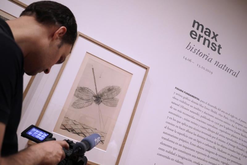 La pinacoteca estrena una deliciosa muestra del indómito autor surrealista