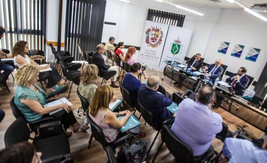 Un momento del Encuentro Andaluz del Derecho del Menor.