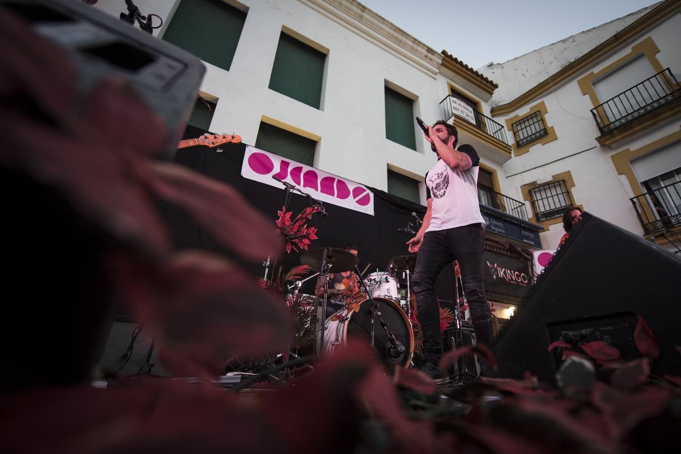 Fotos: Las mejores imágenes del Ojeando 2019