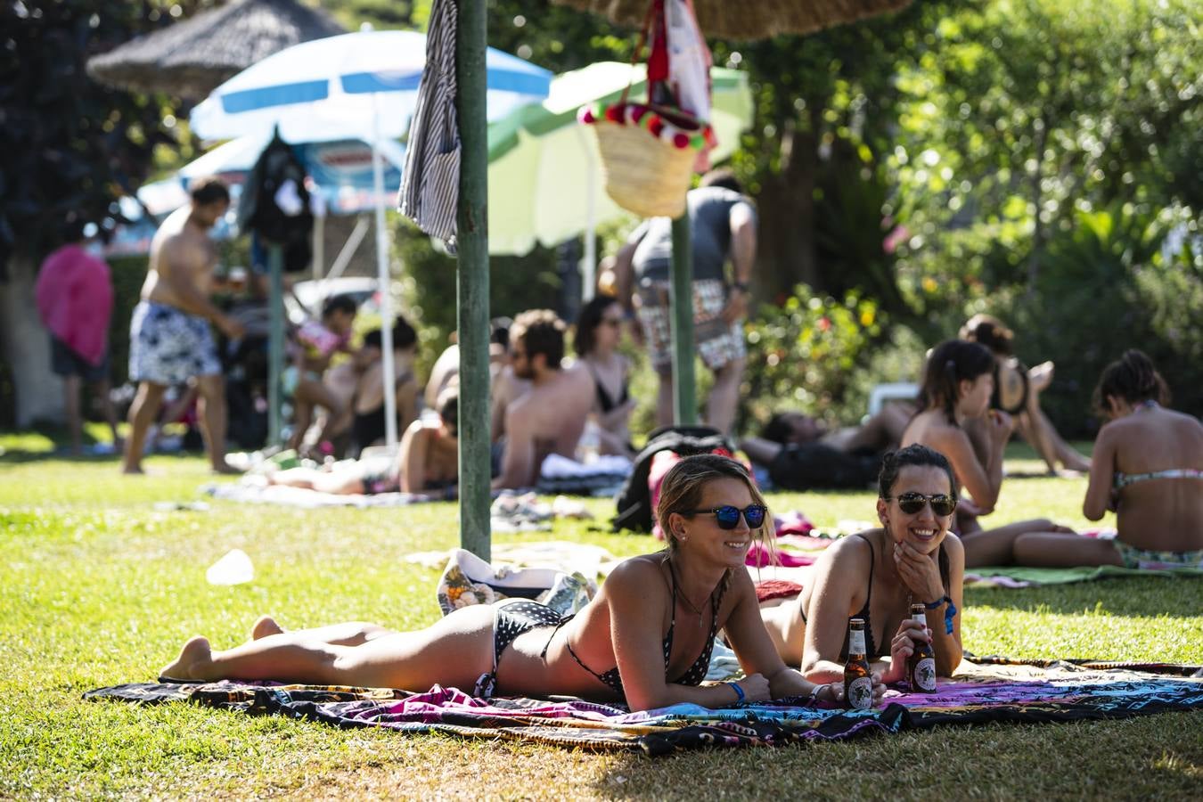 Fotos: Las mejores imágenes del Ojeando 2019