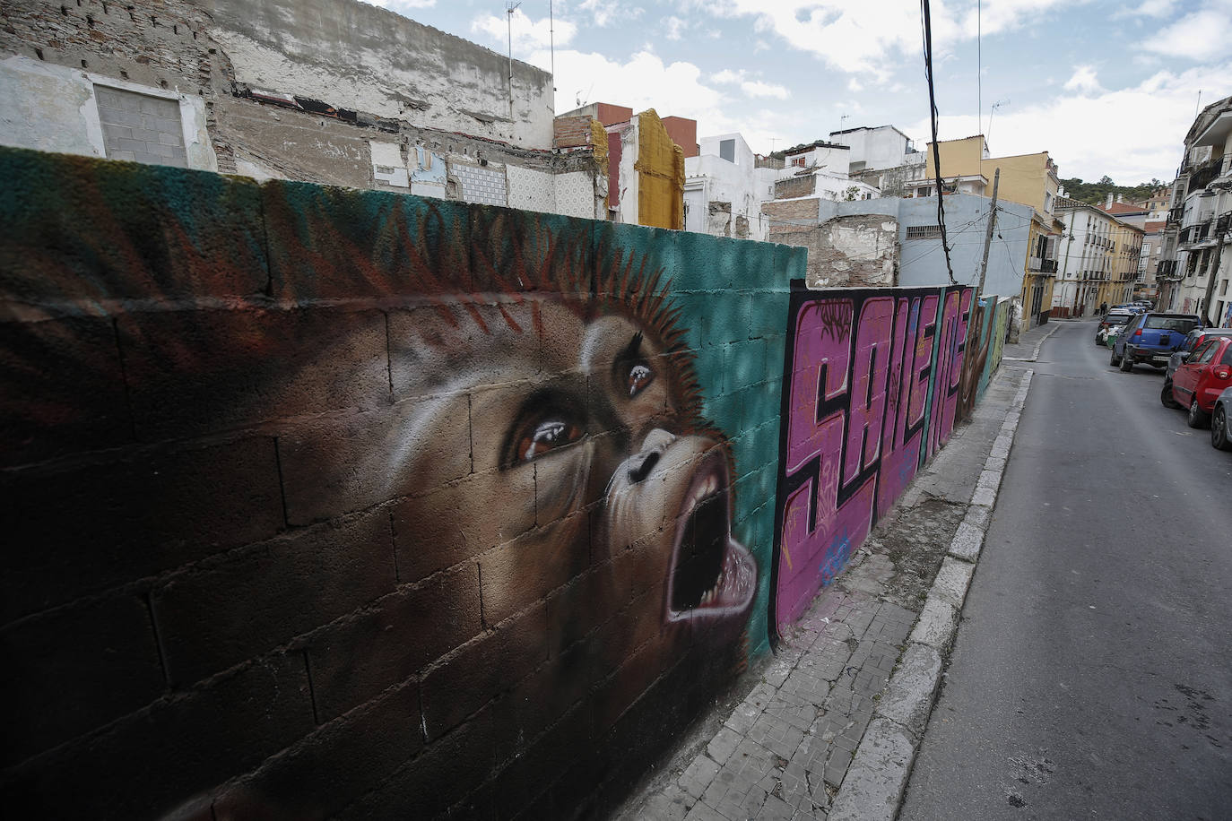 Fotos: Los mejores grafitis de Lagunillas, al detalle