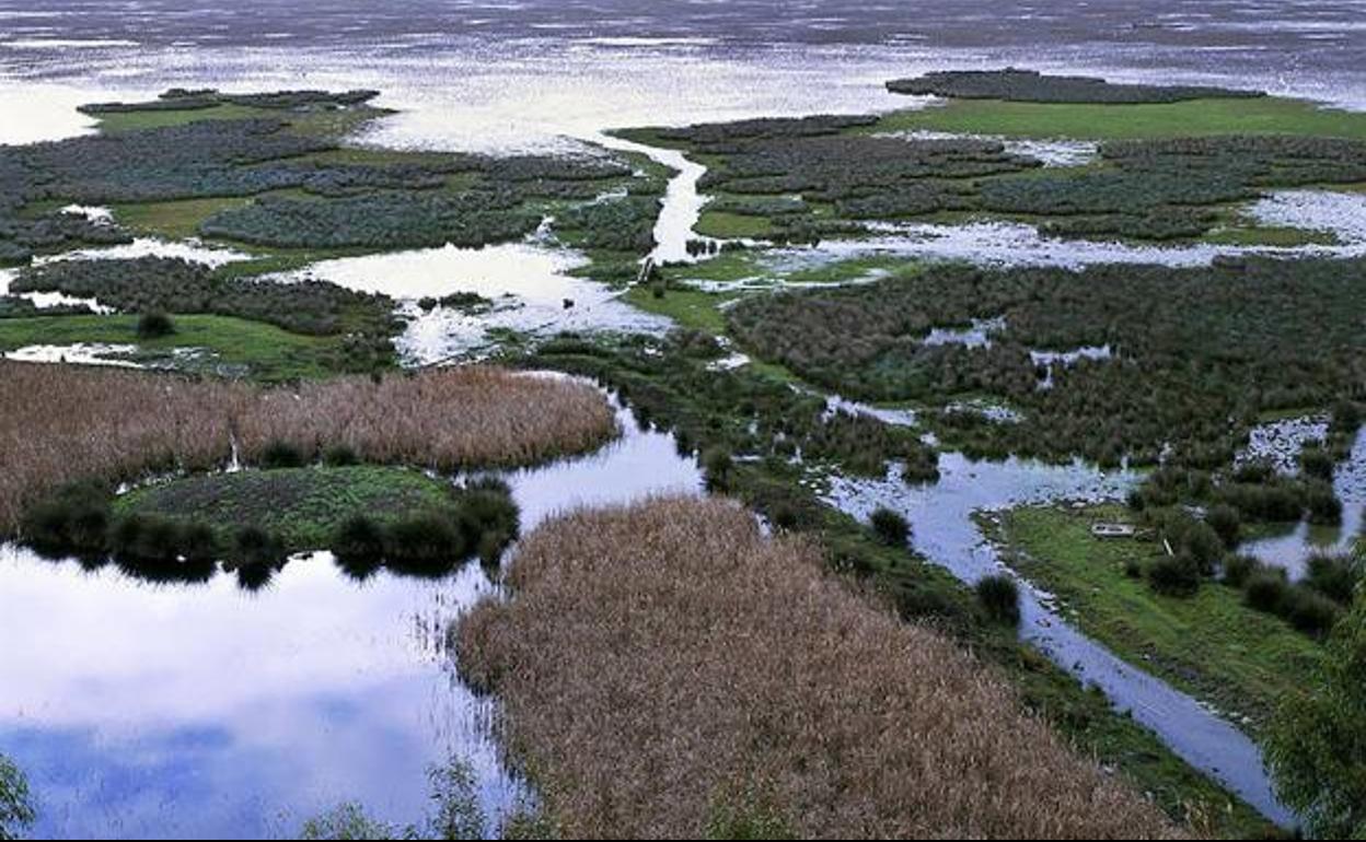 La Unesco pone freno al uso ilegal del agua en Doñana y asume su vigilancia